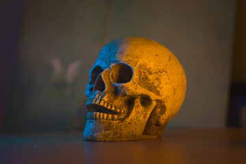 Halloween, skull on the table, dark background, horror, spooky, dark, dark