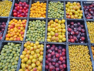 fruits