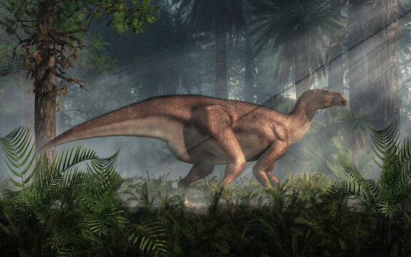 One of the best known dinosaurs, Iguanodon was a ornithopod that lived during the Cretaceous period in what is now Europe around 125 million years ago. Herbivorous, it could walk on two or four legs.&nbsp;