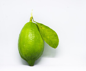 isolated aroma king lemon in white background with space for test