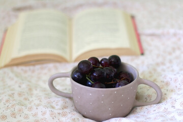 Bowl of grapes and open book on a bed. Selective focus.