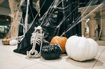 Plakat Halloween decor. Dog skeleton and colored pumpkins in a spider web.