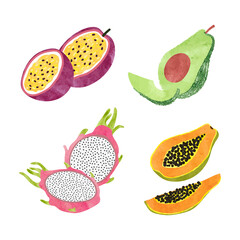 Watercolor fruit set. Tropical vector illustration.