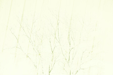 abstract light coloured beige and green colors background for design