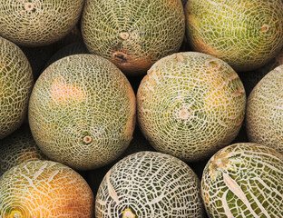 melons, food background