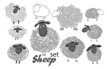 Set of monochrome sheep. T-shirt print. Vector illustration