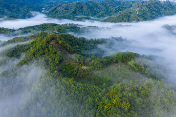 Aerial image of beautiful fresh green nature landscape scene of tropical rainforest and clouds during morning sunrise