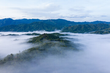 Aerial image of beautiful fresh green nature landscape scene of tropical rainforest and clouds during morning sunrise