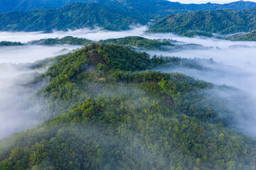 Aerial image of beautiful fresh green nature landscape scene of tropical rainforest and clouds during morning sunrise