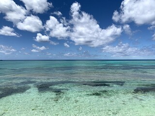 Fototapeta premium bright blue and green ocean with bright white clouds 