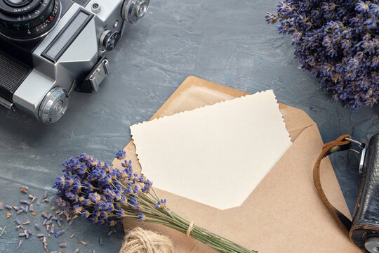 Greeting card, retro camera, and lavender flower bouquets on gray background. Flat lay.