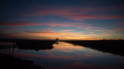 Obraz premium Sunset on a river, some birds fly and others rest, the sky is orange and blue.