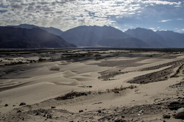 arid dry dessert sand dunes of nubra valley with himalayan barren mountain range in the background at ladakh, Kashmir, india