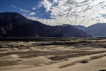 Fototapeta na wymiar arid dry dessert sand dunes of nubra valley with himalayan barren mountain range in the background at ladakh, Kashmir, india