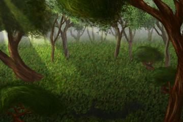 Foggy Forest