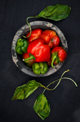 Overhead view of home grown red bell peppers