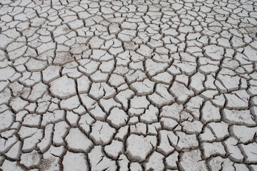 Dried Lake Bed, Little Cayman Island