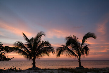Fototapeta na wymiar Sunset and Palm Trees, Little Cayman Island