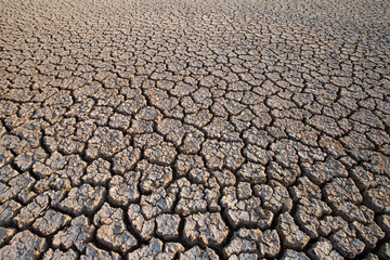 Dried Lake Bed, Little Cayman Island