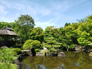 Fototapeta na wymiar 日本の庭