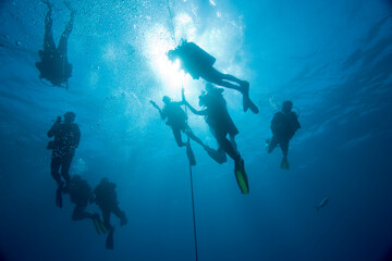 Fototapeta na wymiar Scuba Divers, Bahamas