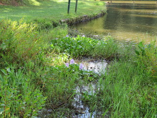 water flowing into the river