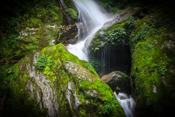a natural waterfall in hills of sikkim, india in between forest vegetation with captured with slow shutter speed