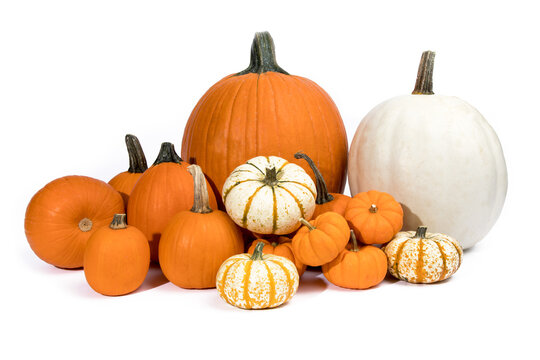 orange and white large and small pumpkins in a pile isolated on white