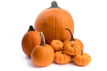 a pile of small decorative pumpkins for Thanksgiving decoration isolated on white