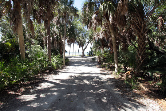 Shady Wooded Tent Camp Site In Fort De Soto Park In Pinellas County, Florida On Beach And Bay.