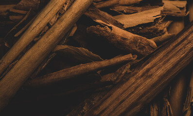 Macro close up portrait of cinnamon sticks , studio lighting, selective focus