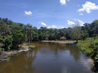Obraz premium Amazon, Brazil