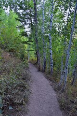 Timpanogos hiking trail views through trees in Uinta Wasatch Cache National Forest, around Utah Lake, in the Rocky Mountains in fall. Close to Midway, Heber, Provo city, Salt Lake and Utah County. USA