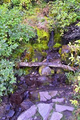 Timpanogos hiking trail views through trees in Uinta Wasatch Cache National Forest, around Utah Lake, in the Rocky Mountains in fall. Close to Midway, Heber, Provo city, Salt Lake and Utah County. USA