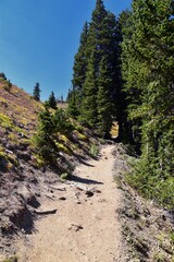 Timpanogos hiking trail views through trees in Uinta Wasatch Cache National Forest, around Utah Lake, in the Rocky Mountains in fall. Close to Midway, Heber, Provo city, Salt Lake and Utah County. USA