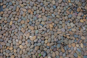 Pebble stone background, small Screen in garden with difference color, abstract background.