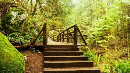 Wooden steps to footbridge on BC forest trail with lichen-covered boulders at side