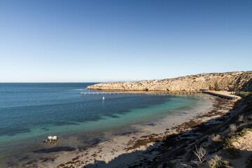 Point Sinclair and Cactus Beach, South Australia