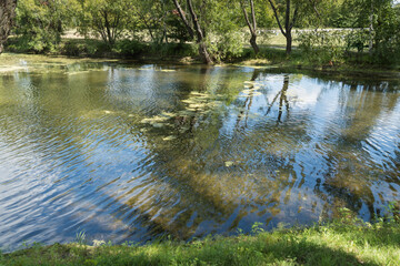 Landscape photos taken in the vicinity of the village of Tarkhany