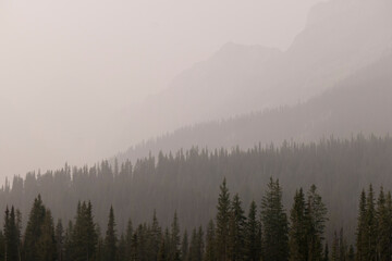 Naklejka na ściany i meble fog in the mountains