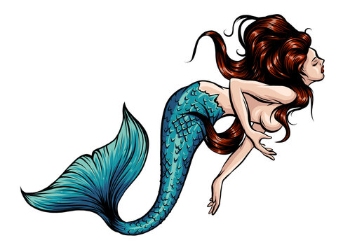 Beautiful mermaid with. Hand drawn illustration. vector