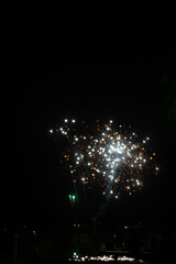 Fire Works in the night sky 