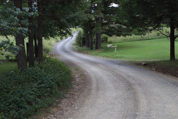 Perspective view down a curving country gravel road under a canopy of trees