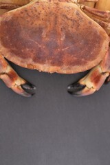 Crab. Sea reptiles. Boiled crab with shell on a black slate background.Mediterranean cuisine. Pure protein product