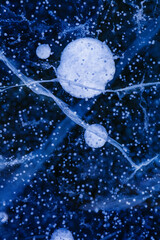 Detailed macro photo of Cracks and frozen bubbles on ice of deep lake in winter. Nature background.