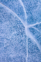 Detailed macro photo of Cracks and frozen bubbles on ice of deep lake in winter. Nature background.