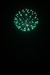 Fototapeta premium Fireworks in the night sky 