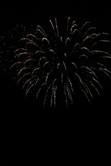 Fireworks in the night sky 