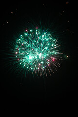 Fireworks in the night sky 