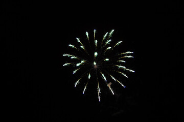 Fireworks in the night sky 
